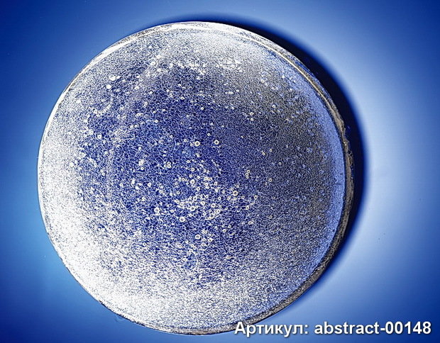 Фото из портфолио Абстракция – фотографии дизайна интерьеров на InMyRoom.ru