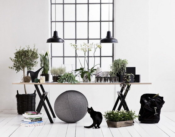 Фотография: Флористика в стиле , Декор интерьера, Декор дома – фото на INMYROOM