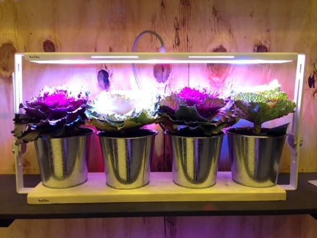 Фотография: Аксессуары в стиле Современный, Индустрия, События, Лондон, B&B Italia – фото на INMYROOM