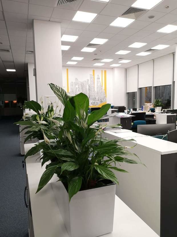 Фото из портфолио Офис – фотографии дизайна интерьеров на INMYROOM