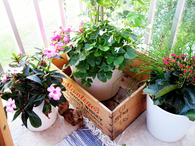 Фотография: Флористика в стиле , Балкон, Интерьер комнат, специальная тема: балконы – фото на INMYROOM Фотография: Флористика в стиле , Балкон, Интерьер комнат, специальная тема: балконы – фото на INMYROOM