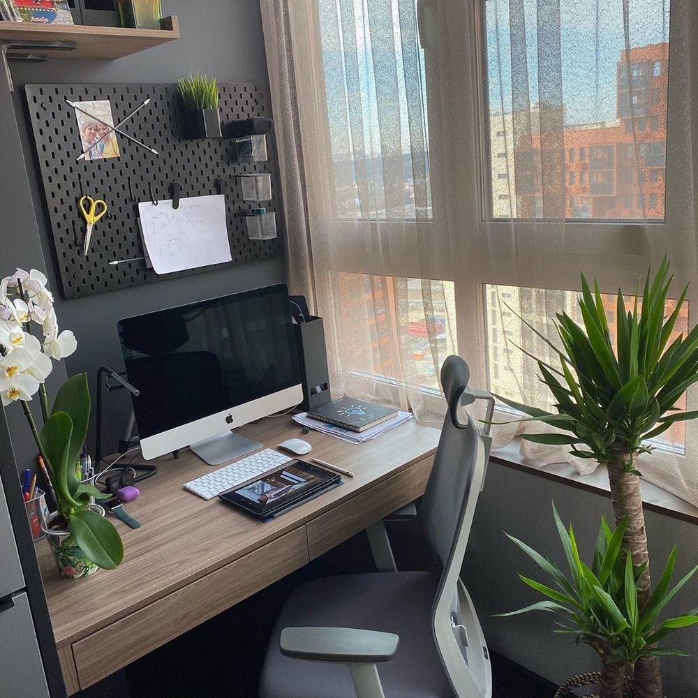 Фотография: в стиле , Современный, Квартира, Проект дня, Дарья Дубкова, 1 комната, до 40 метров, Сбербанк, домклик, сбербанк страхование – фото на INMYROOM