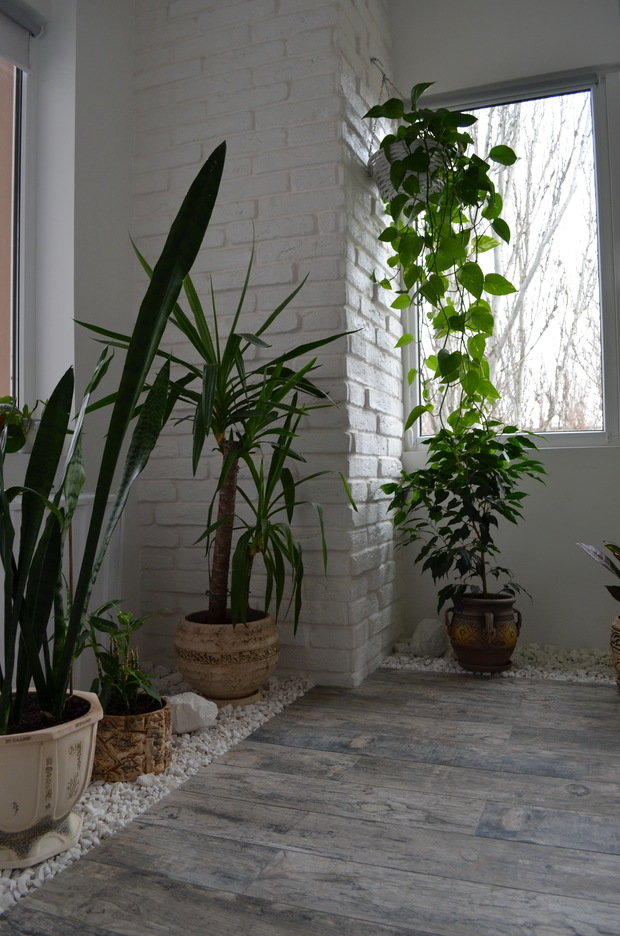 Фото из портфолио Мое избранное – фотографии дизайна интерьеров на INMYROOM