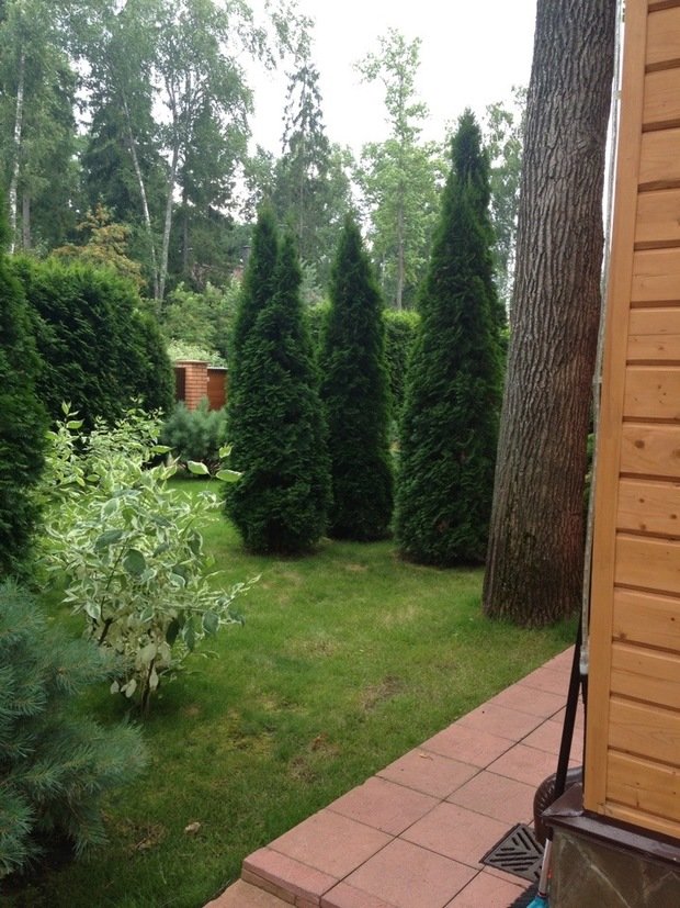 Фото из портфолио Озеленение и благоустройство – фотографии дизайна интерьеров на INMYROOM