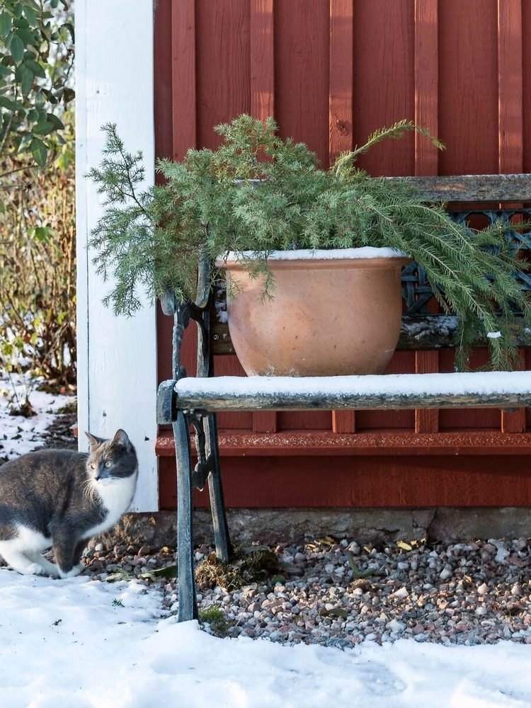 Фотография: Кухня и столовая в стиле Скандинавский, Прованс и Кантри, Декор интерьера, Дом, Белый, Зеленый, Серый, Дом и дача – фото на INMYROOM Фотография: Кухня и столовая в стиле Скандинавский, Прованс и Кантри, Декор интерьера, Дом, Белый, Зеленый, Серый, Дом и дача – фото на INMYROOM