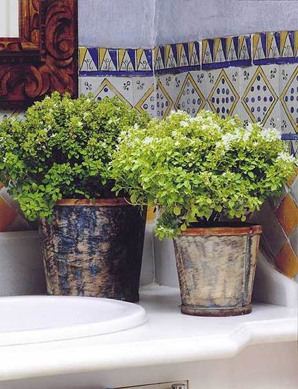 Фотография: Флористика в стиле , Стиль жизни – фото на InMyRoom.ru