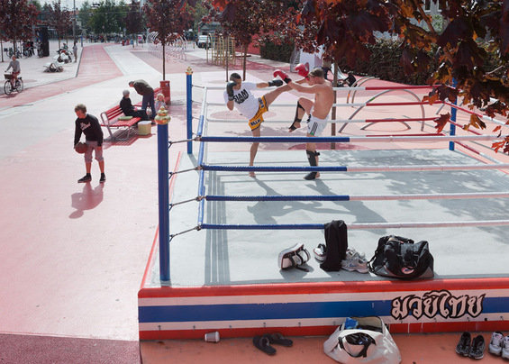 Фотография: Ландшафт в стиле Современный – фото на INMYROOM