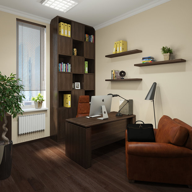 Фото из портфолио Оформление кабинета – фотографии дизайна интерьеров на INMYROOM