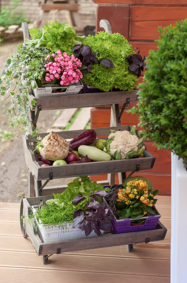 Фотография: Декор в стиле Эко, Прованс и Кантри, Современный, Эклектика, MW-LIGHT, Мебель и свет, Терраса, Белый, Дача, Зеленый, Бежевый, Коричневый, Подмосковье, Дом и дача, Фундэкс, Еврогриль, Степан.Ру, Малаховка, HOROZ Electric, Уютерра, Rondell, Zeta, «Хомгарт», Terradeck, Gliga Stone, НЕОПОРМ, Полигаль Восток, Тамак, ROYS, Роман Белянин, Алексей Жбанко, кашпо с подсветкой, освещение на террасе, облицовка из гибкого камня, потолок из поликарбоната – фото на INMYROOM