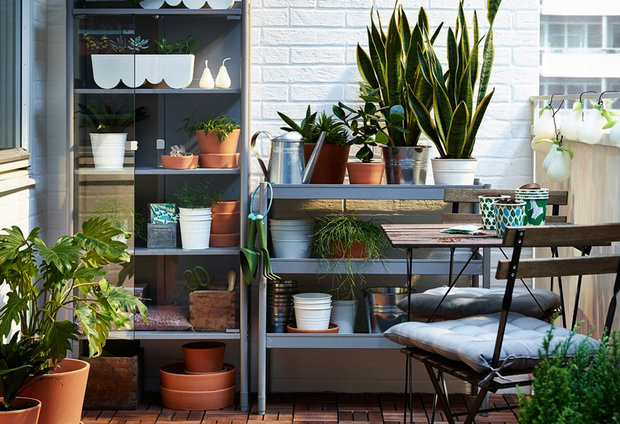 Фотография: Балкон в стиле Эко, Квартира, Ландшафт, Дом и дача, огород на балконе, мини-огород на балконе, Leroy Merlin, Наталия Шушлебина – фото на INMYROOM