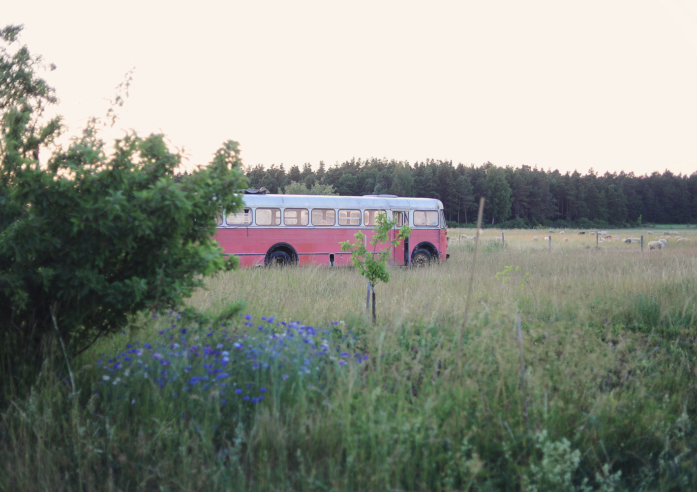 Фотография: в стиле , Декор интерьера, Дом, Швеция, Дача, Розовый, как оформить летний дом – фото на INMYROOM Фотография: в стиле , Декор интерьера, Дом, Швеция, Дача, Розовый, как оформить летний дом – фото на INMYROOM