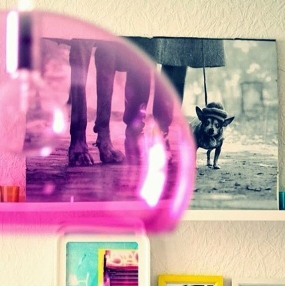 Фотография: Декор в стиле Современный – фото на INMYROOM