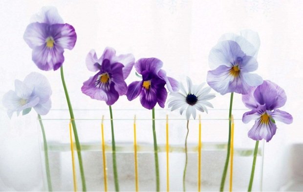 Фотография: Флористика в стиле , Декор интерьера, Дом, Стиль жизни, Цветы – фото на INMYROOM