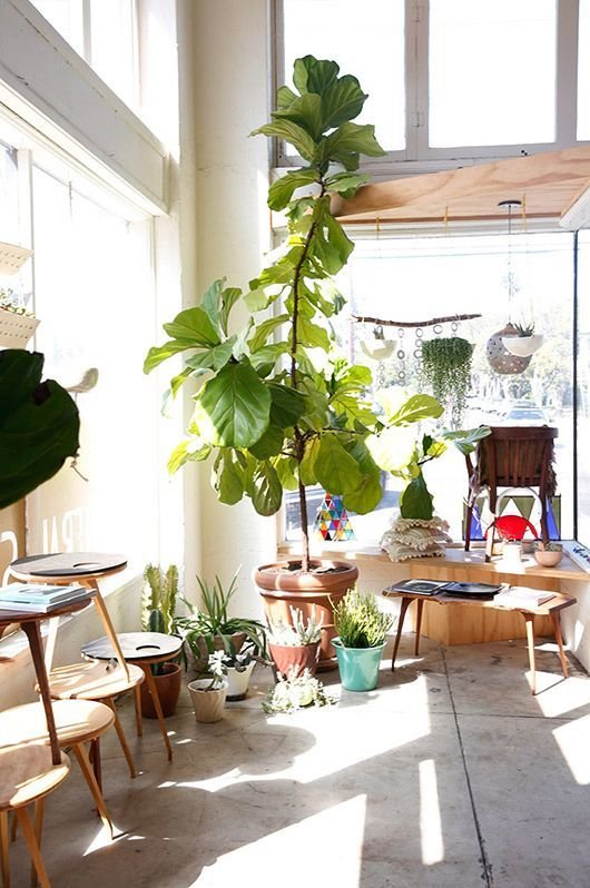 Фотография: Декор в стиле Прованс и Кантри, Лофт, Скандинавский, Малогабаритная квартира, Квартира, Флористика, Стиль жизни, Зимний сад – фото на INMYROOM