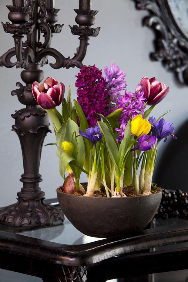 Фотография: Флористика в стиле , Прованс и Кантри, Классический, Лофт, Скандинавский, Эклектика, Декор интерьера, Декор, Советы, Эко, Элина Туктамишева – фото на INMYROOM