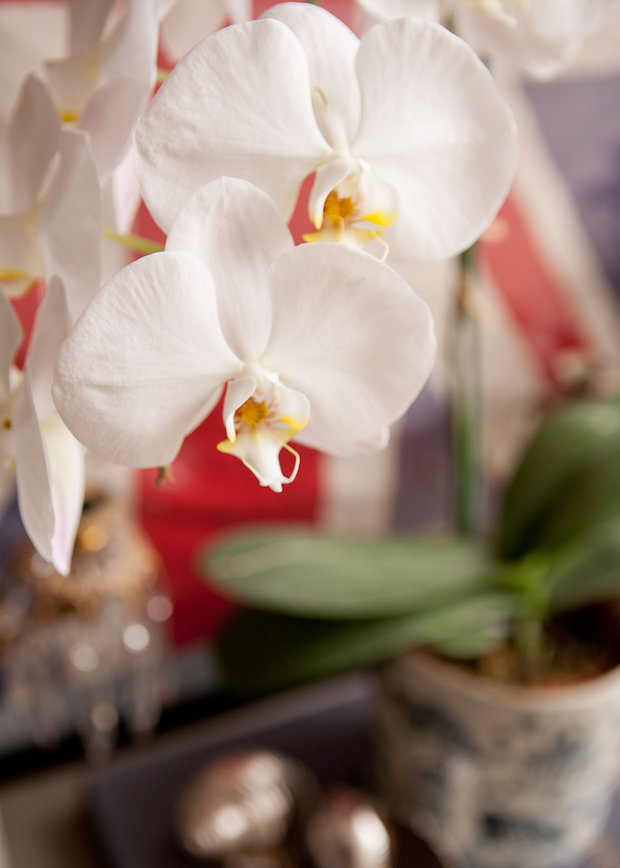Фото из портфолио Мое избранное – фотографии дизайна интерьеров на INMYROOM