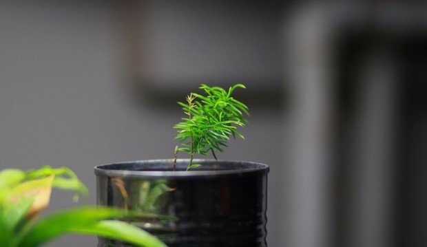 Фото из портфолио работа  – фотографии дизайна интерьеров на InMyRoom.ru