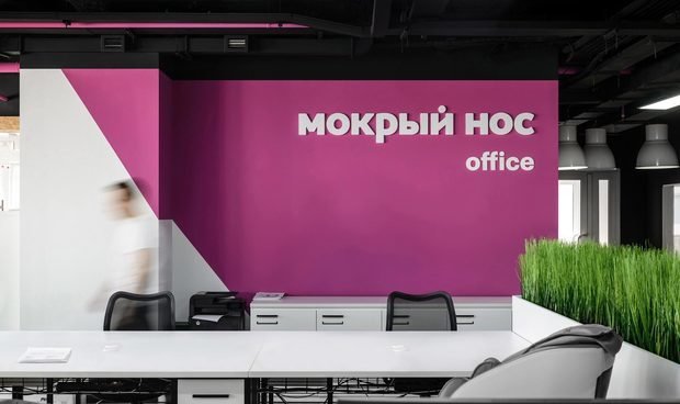Интерьер офиса в современном стиле с яркой фиолетовой стеной