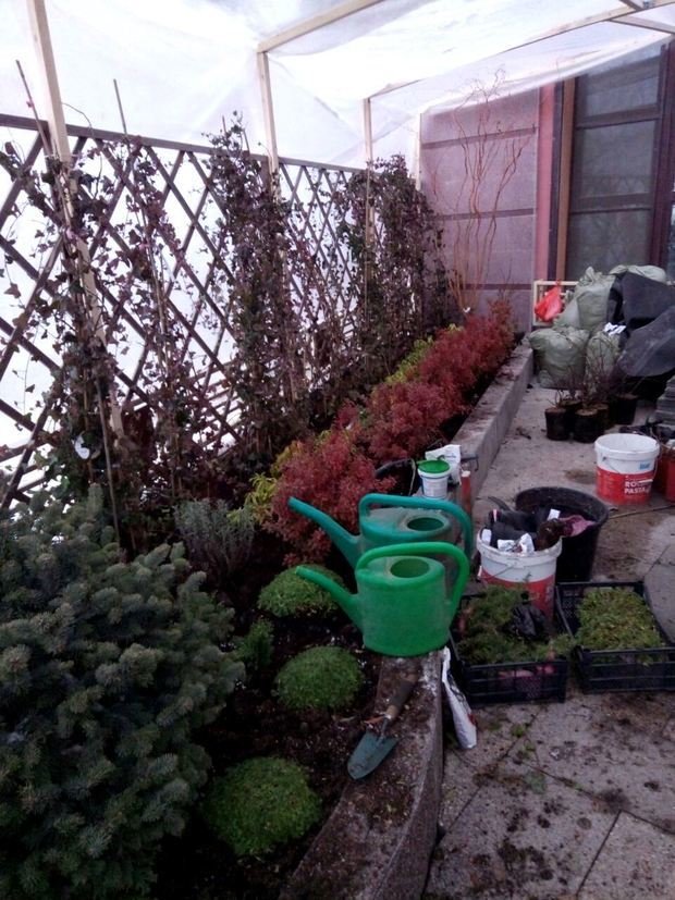 Фото из портфолио Ландшафтный дизайн приквартирного участка на Проспекте Мира – фотографии дизайна интерьеров на INMYROOM