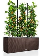 Фото из портфолио Кашпо LECHUZA (Лечуза) для цветов TRIO Cottage – фотографии дизайна интерьеров на INMYROOM