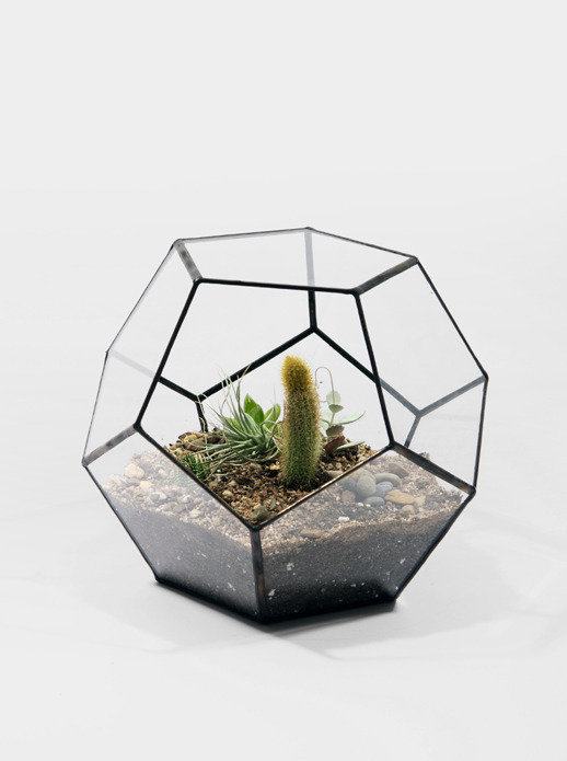 Фото из портфолио Мои фотографии – фотографии дизайна интерьеров на INMYROOM