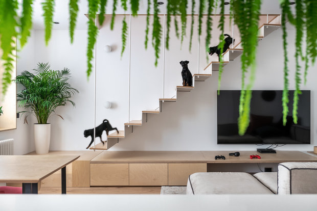 Роль доминирующей текстуры в проекте вверили фанере нейтрального, светлого оттенка. Она не только отлично «работает» с белым бэкграундом интерьера, но и дополняет зелень комнатных растений. 