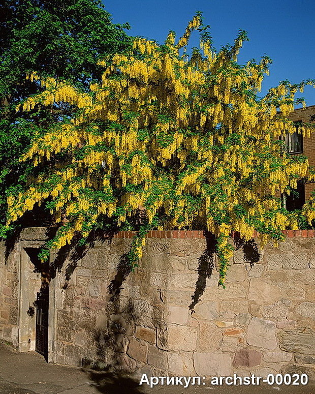Фото из портфолио Арки, Улицы, Терасы – фотографии дизайна интерьеров на INMYROOM
