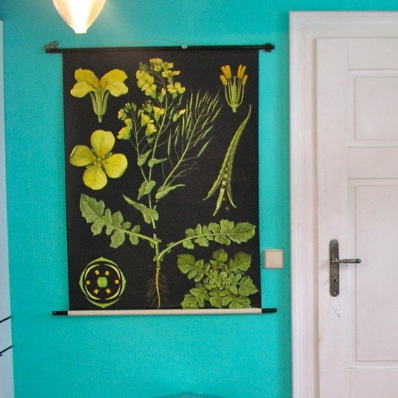 Фотография: Декор в стиле Прованс и Кантри, Классический, Современный – фото на INMYROOM