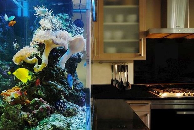 Фотография: Кухня и столовая в стиле Современный, Хай-тек, Декор интерьера, DIY, Интерьер комнат, Текстиль, Тема месяца – фото на INMYROOM