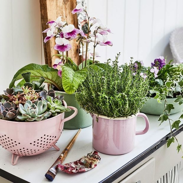 Фотография: Флористика в стиле , Декор интерьера, Зеленый, растения в горшках в интерьере, комнатные растения для ванной комнаты – фото на INMYROOM