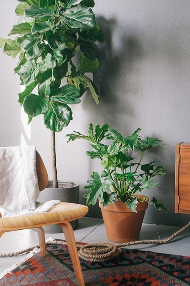 Фотография: Мебель и свет в стиле Лофт, Скандинавский, Декор интерьера, DIY, Декор – фото на INMYROOM