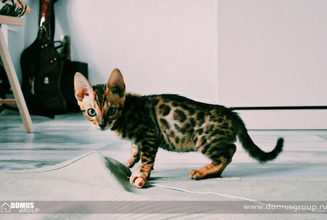 Ремонт квартиры студии в ЖК «Ласточка»