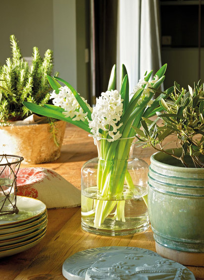 Фотография: Флористика в стиле , Квартира, Цвет в интерьере, Дома и квартиры, Пентхаус, Красный – фото на INMYROOM