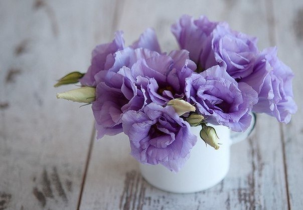 Фото из портфолио Мои фотографии – фотографии дизайна интерьеров на INMYROOM