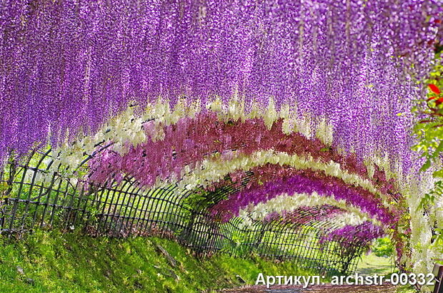 Фото из портфолио Арки, Улицы, Терасы – фотографии дизайна интерьеров на InMyRoom.ru