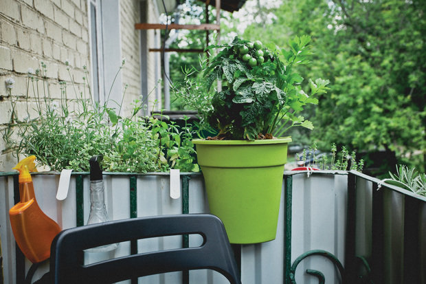 Фотография: Балкон, Терраса в стиле Прованс и Кантри, Декор интерьера, Интерьер комнат – фото на INMYROOM