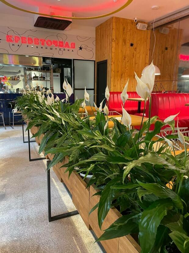 Фото из портфолио Ресторан «Креветочная» г. Санкт-Петербург – фотографии дизайна интерьеров на INMYROOM