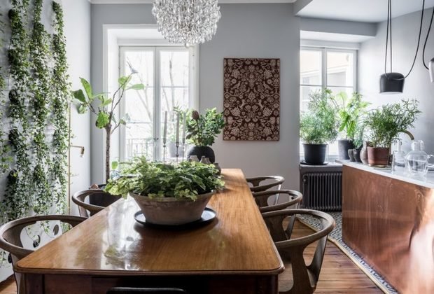 Фото из портфолио Роль живых растений в интерьере – фотографии дизайна интерьеров на INMYROOM