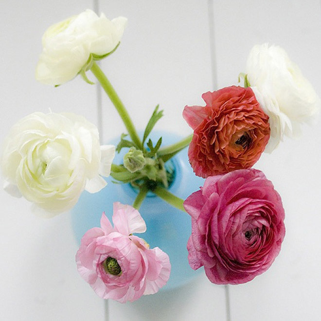 Фотография: Флористика в стиле , Декор интерьера, Декор дома, Декор свадьбы, Цветы, Свадебный декор – фото на INMYROOM Фотография: Флористика в стиле , Декор интерьера, Декор дома, Декор свадьбы, Цветы, Свадебный декор – фото на INMYROOM