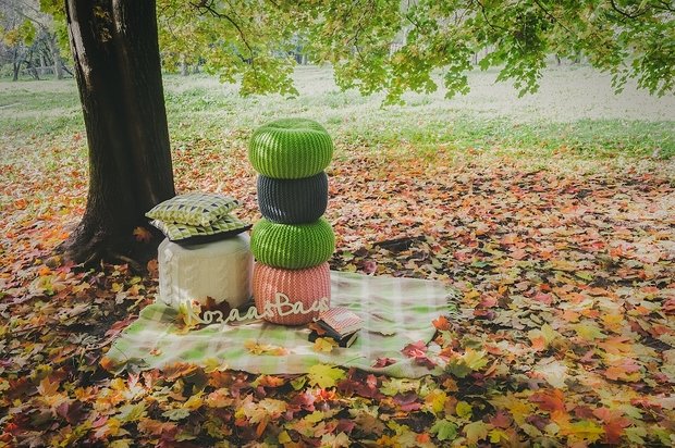 Фото из портфолио Осенняя фотосессия – фотографии дизайна интерьеров на INMYROOM