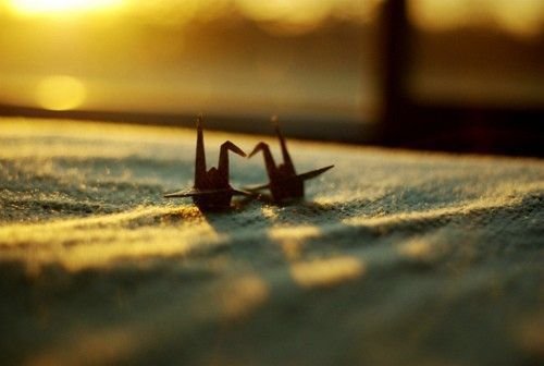 Фотография: Аксессуары в стиле Прованс и Кантри, Современный – фото на INMYROOM