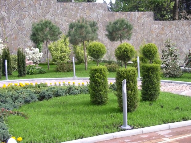 Фото из портфолио Озеленение и благоустройство – фотографии дизайна интерьеров на INMYROOM