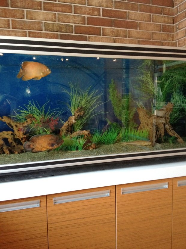 Фото из портфолио Современная квартира с характером – фотографии дизайна интерьеров на INMYROOM