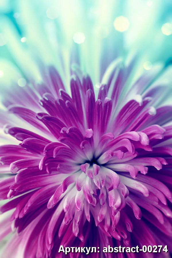 Фото из портфолио Абстракция – фотографии дизайна интерьеров на InMyRoom.ru