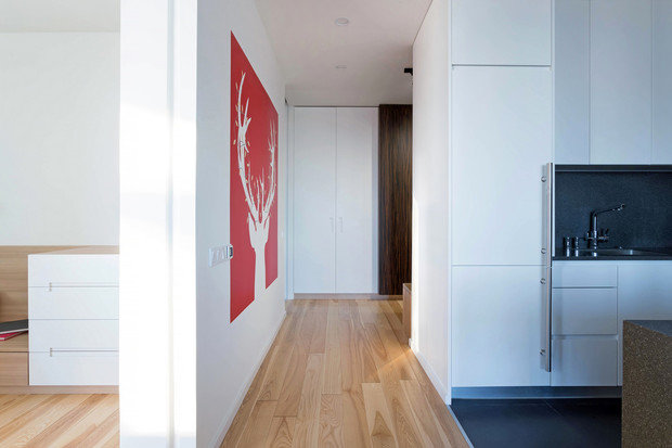 Фото из портфолио  Квартира с оленем от Lugerin Architects – фотографии дизайна интерьеров на INMYROOM