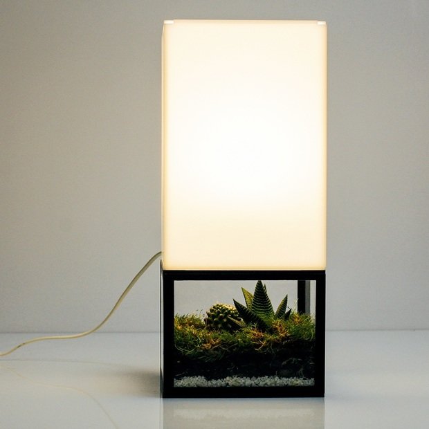 Фотография: Флористика в стиле , Декор интерьера, Советы, растения в интерьере, Vibe Life Technologies – фото на INMYROOM