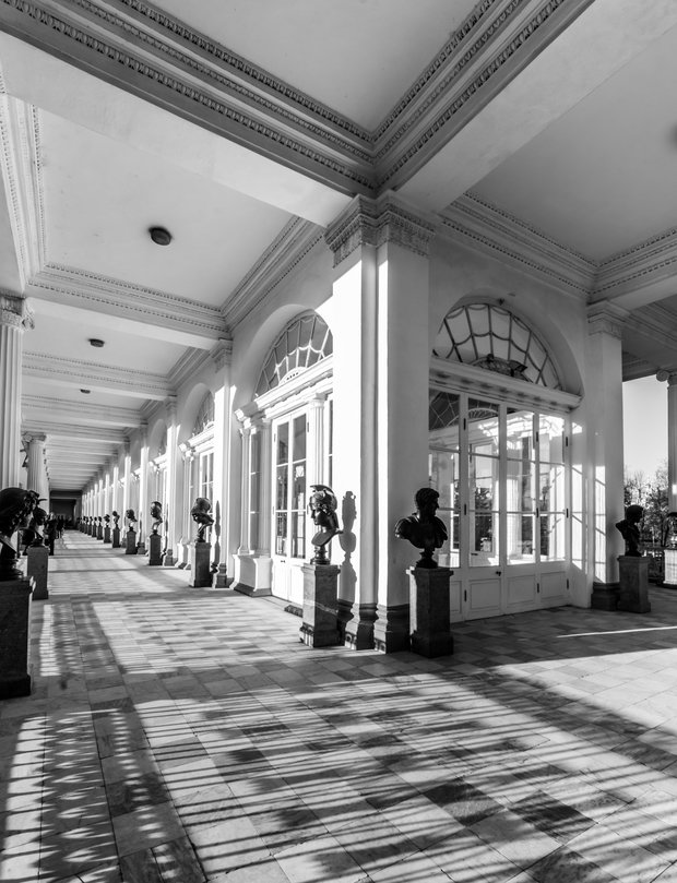 Фото из портфолио Царское село – фотографии дизайна интерьеров на InMyRoom.ru