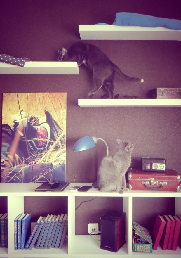 Фото из портфолио Мое избранное – фотографии дизайна интерьеров на INMYROOM