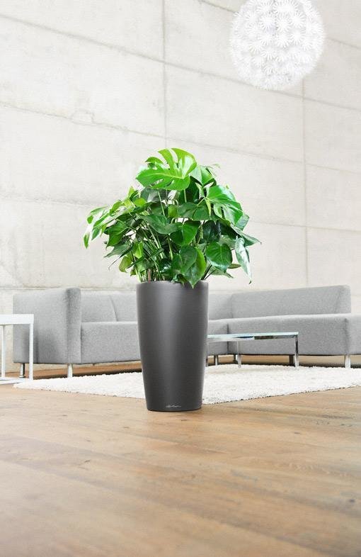Фото из портфолио Кашпо для растений LECHUZA (Лечуза) RONDO (Рондо) – фотографии дизайна интерьеров на INMYROOM