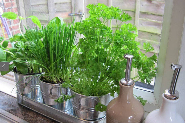 Фотография: в стиле , Кухня и столовая, Советы – фото на INMYROOM